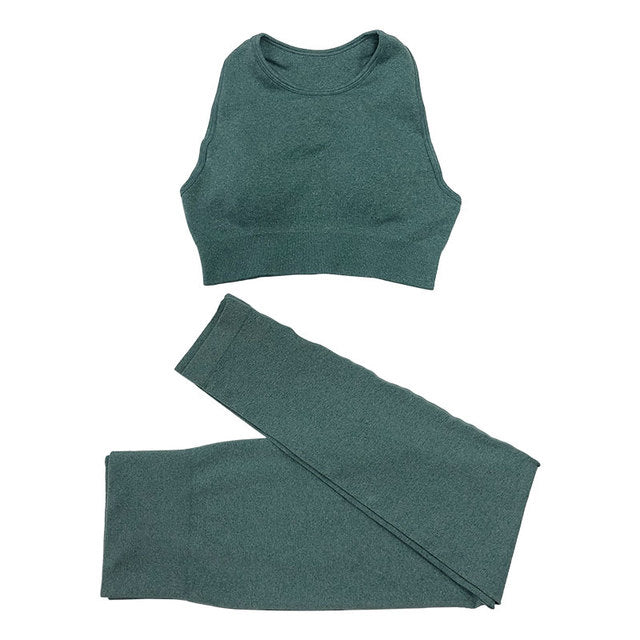 Seamless Women Yoga Set