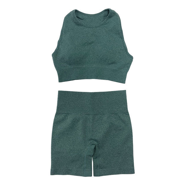 Seamless Women Yoga Set